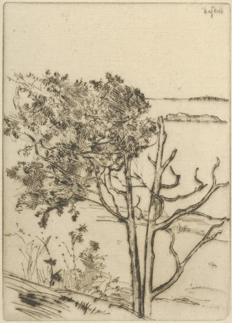 Ragged Tree – Maine av Ernest Haskell