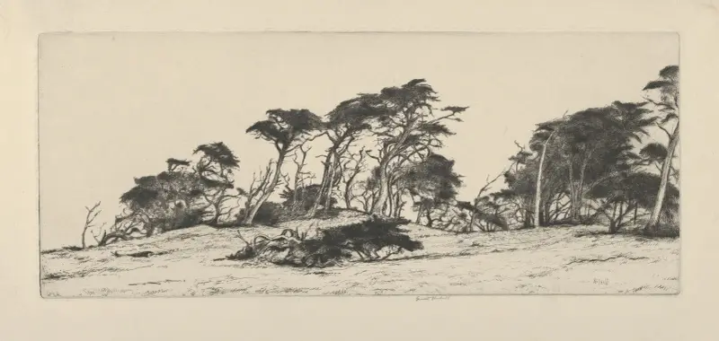 Saraband av Ernest Haskell
