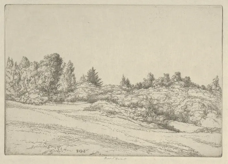 Small Point Field av Ernest Haskell