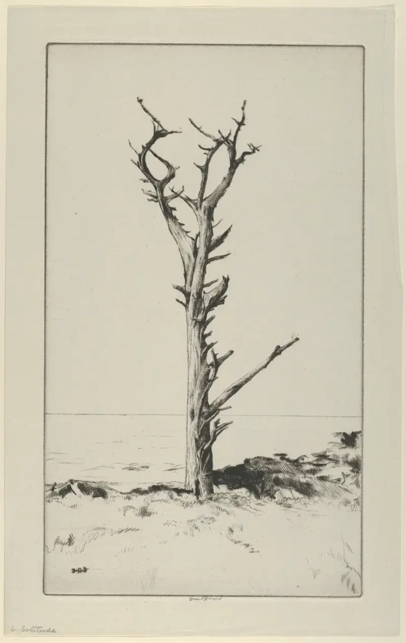 Ensamhet av Ernest Haskell