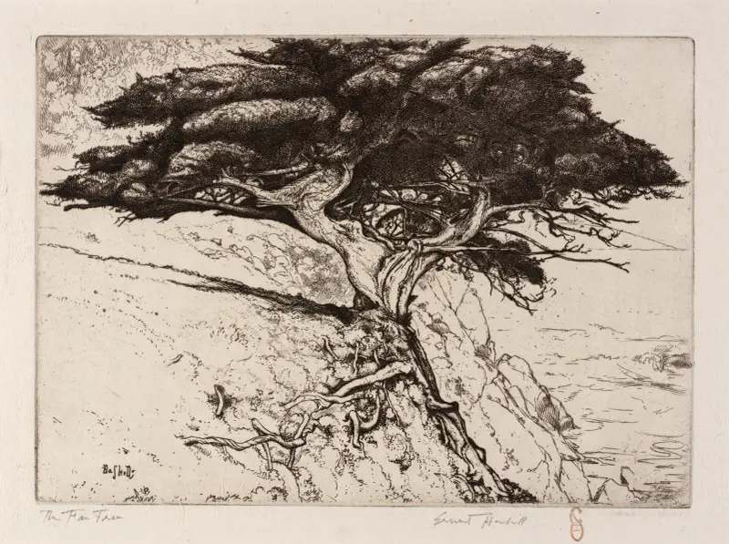 The Fan Tree av Ernest Haskell