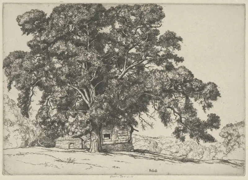 Eken och adobehuset av Ernest Haskell