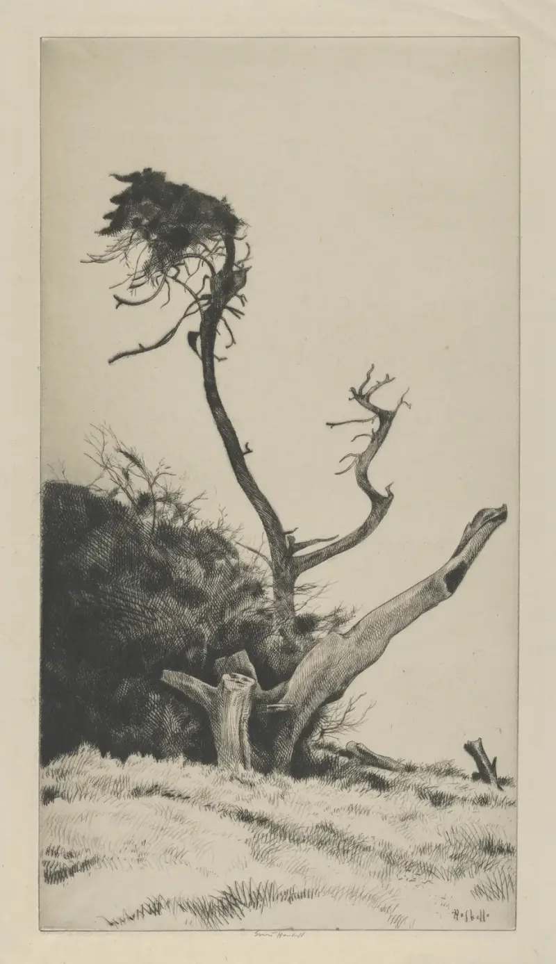 The Pennant von Ernest Haskell