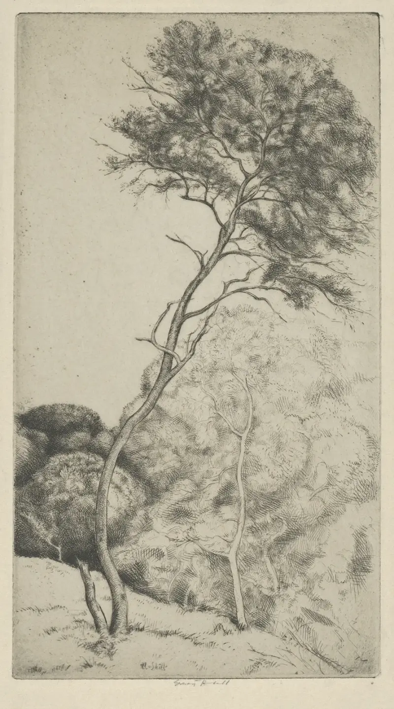 The Wand av Ernest Haskell