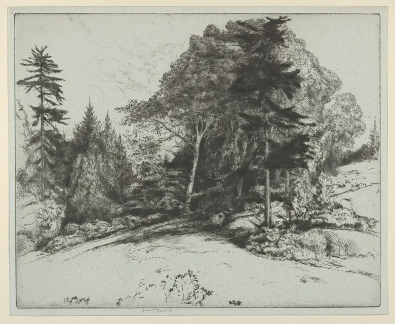Under kullen av Ernest Haskell