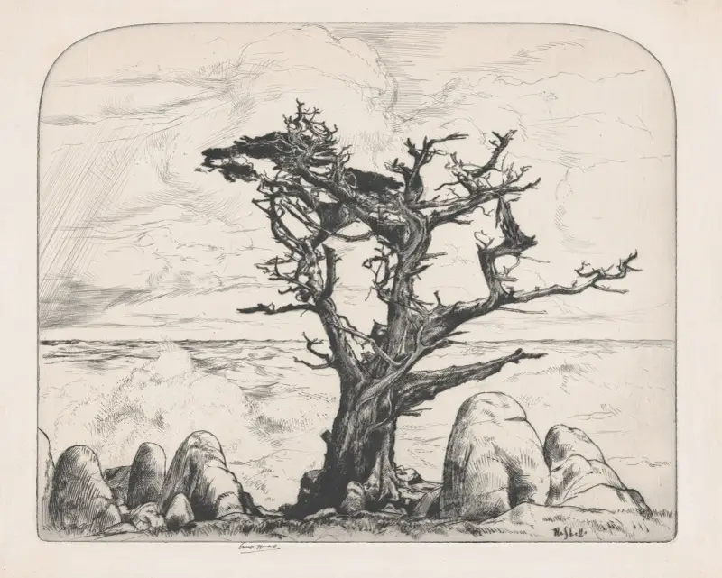 Witch and her Guardians av Ernest Haskell