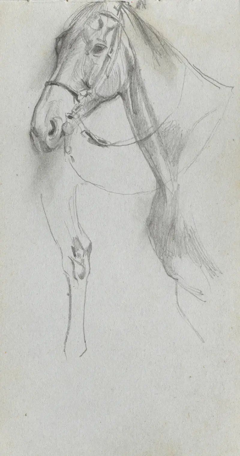 Studie eines Pferdes von Ernest Meissonier
