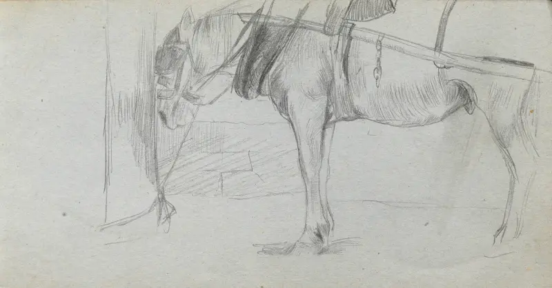 Studie av en häst 2 av Ernest Meissonier