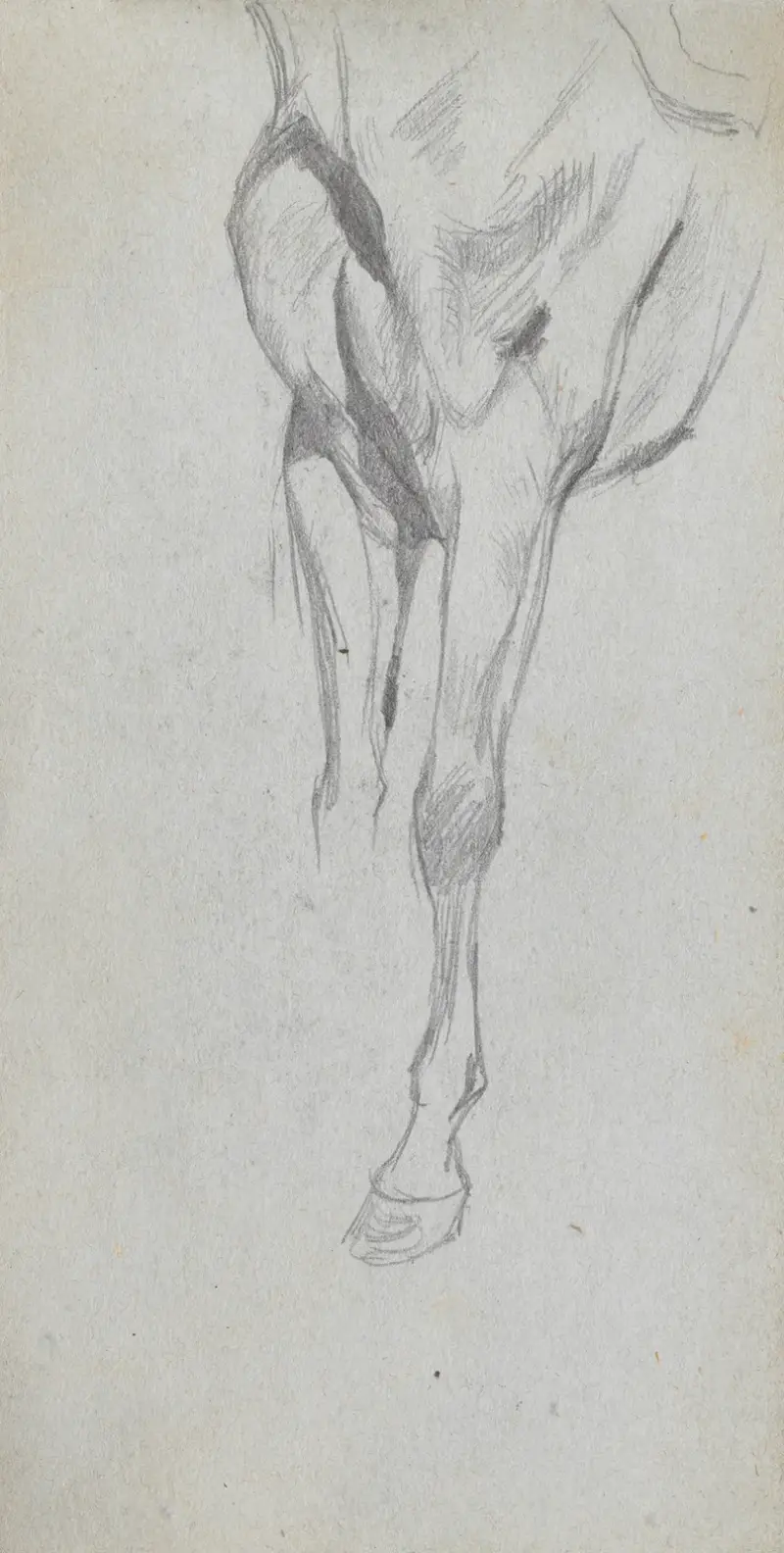 Studie av en häst 4 av Ernest Meissonier