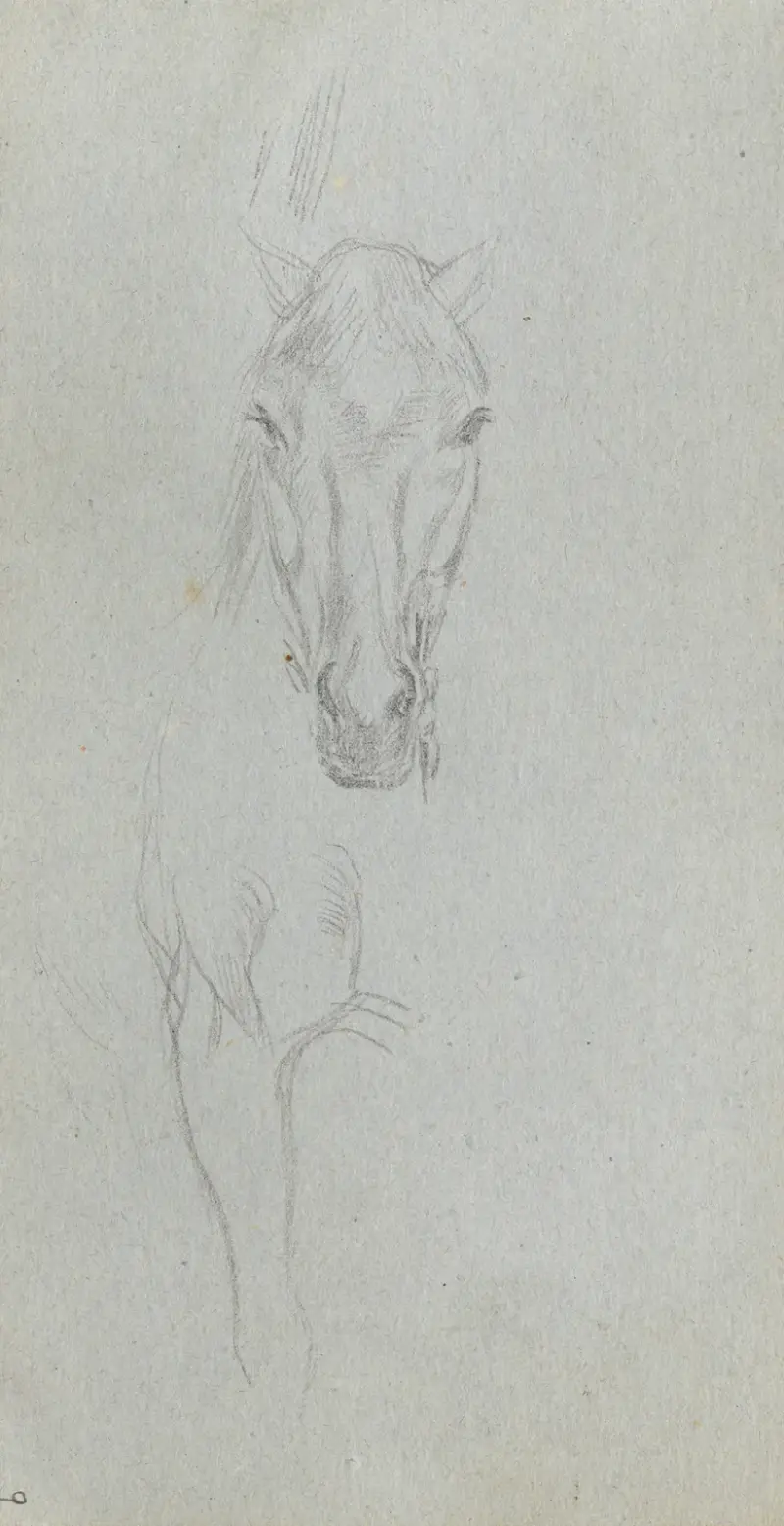 Study of a Horse 5 av Ernest Meissonier