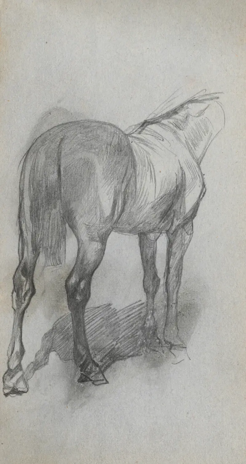 Study of a Horse 6 av Ernest Meissonier