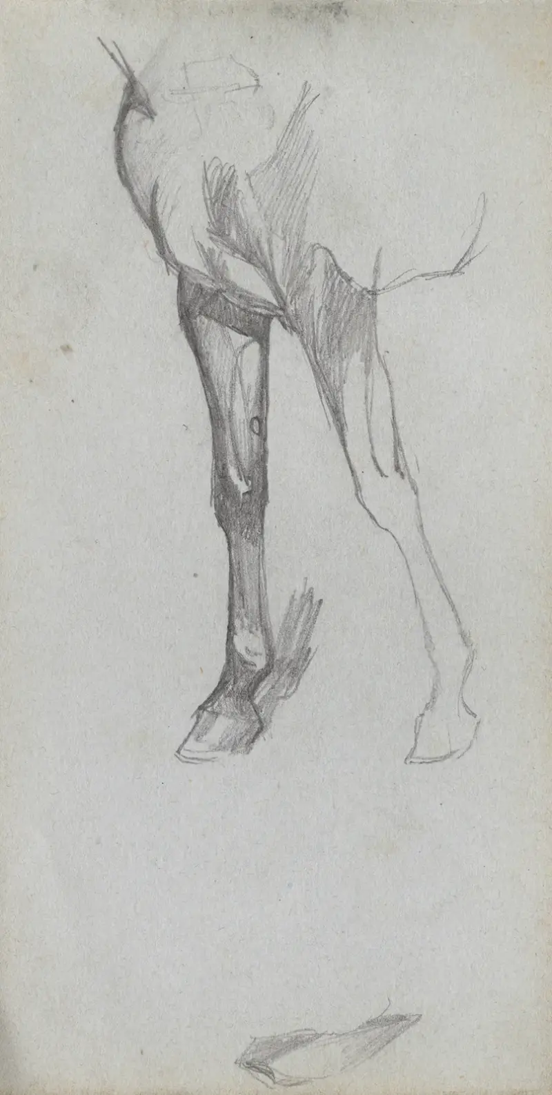 Studie av en häst av Ernest Meissonier