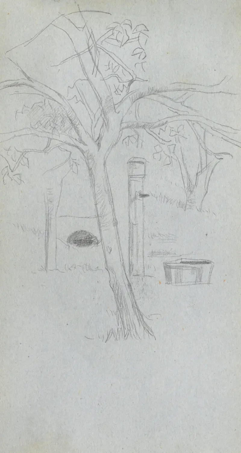Tree Study von Ernest Meissonier