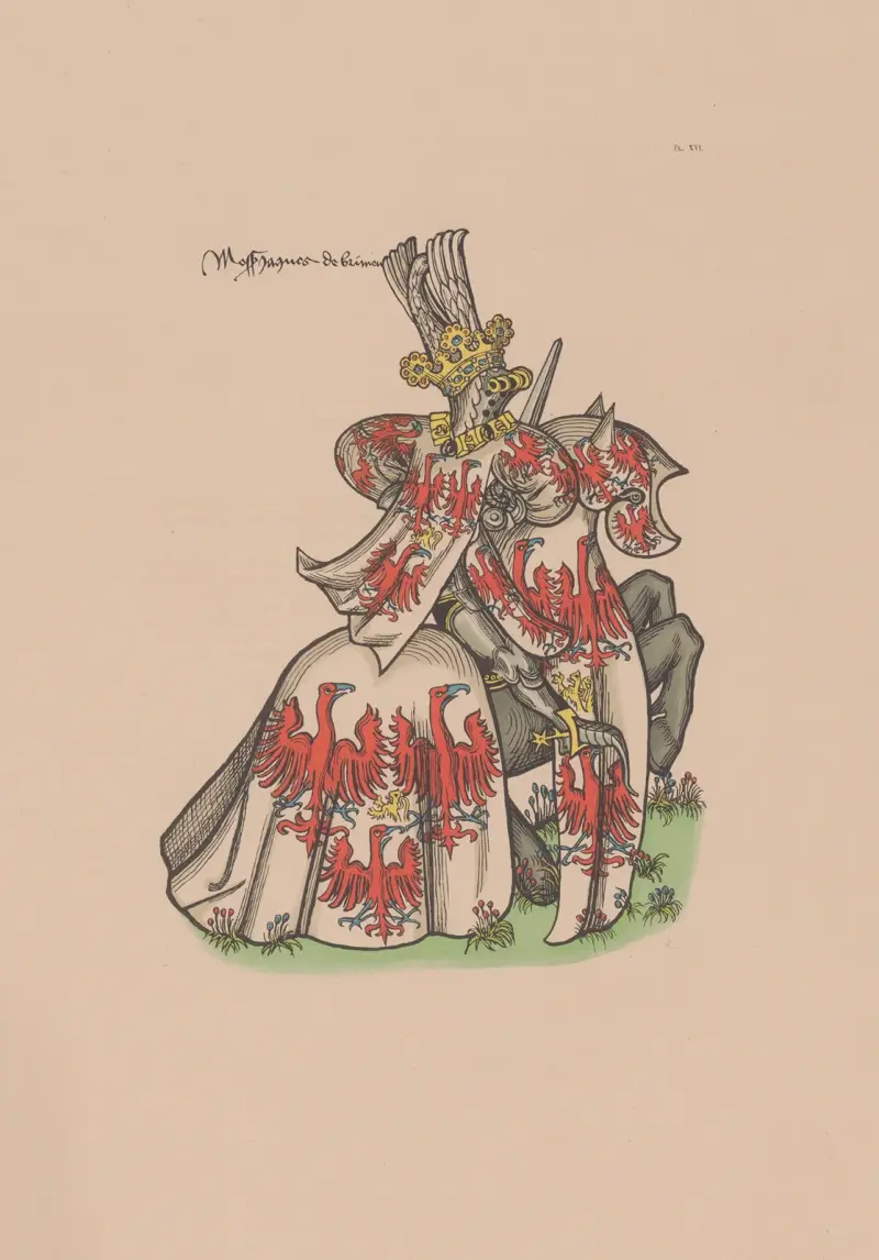 Ancien armorial équestre de la Toison d’or et de l’Europe au 15e siècle Pl.012 av Berger-Levrault et Cie