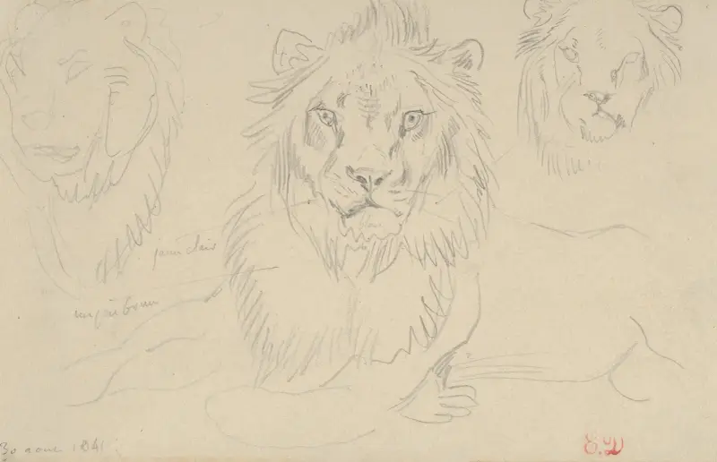 Lev, zepředu, Eugène Delacroix