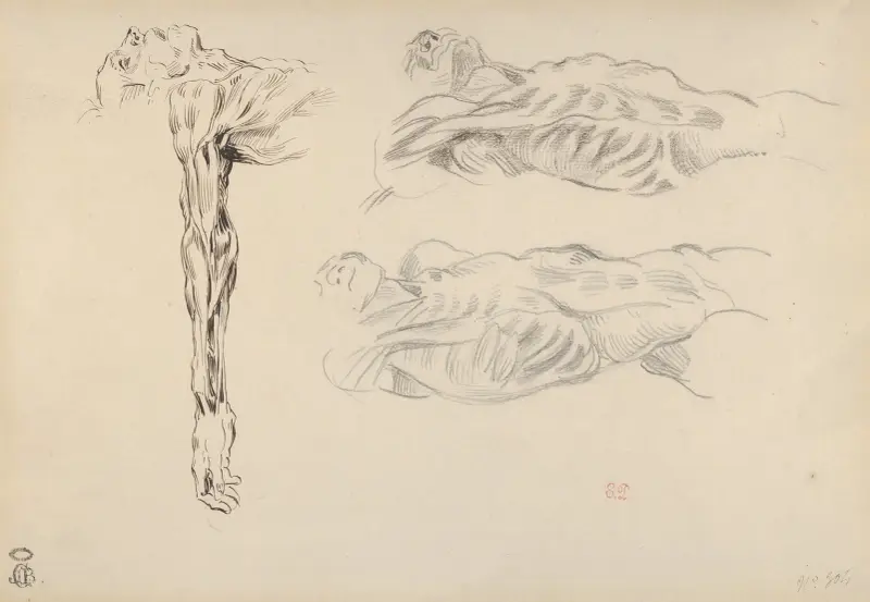 Écorché; Three Studies of a Male Cadaver av Eugène Delacroix