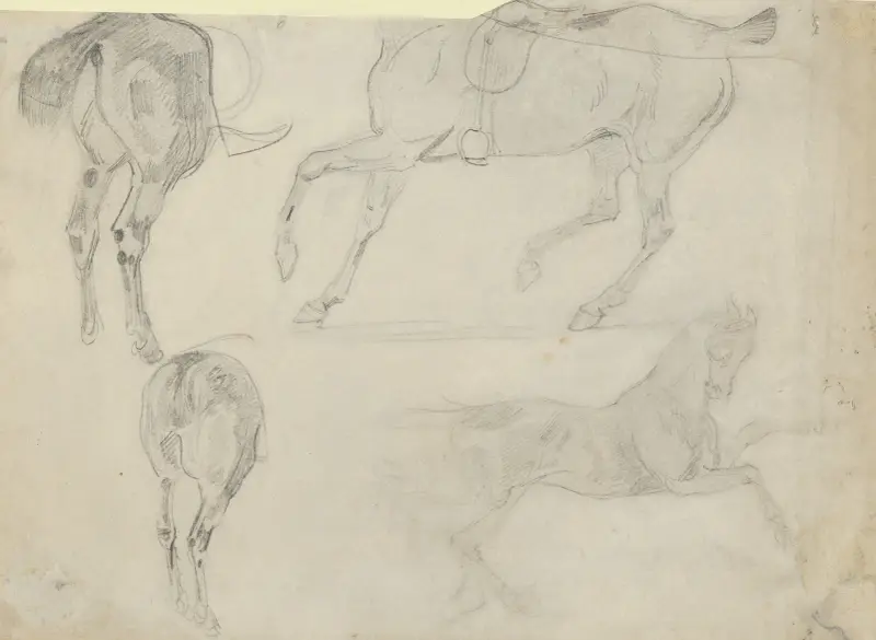 Four Studies of Horses av Eugène Delacroix