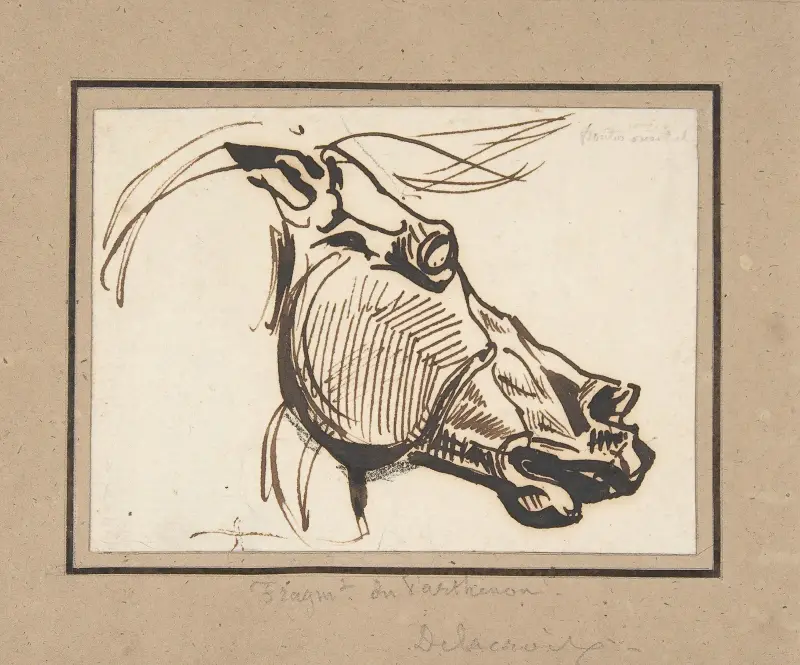Head of a Horse, after the Parthenon av Eugène Delacroix