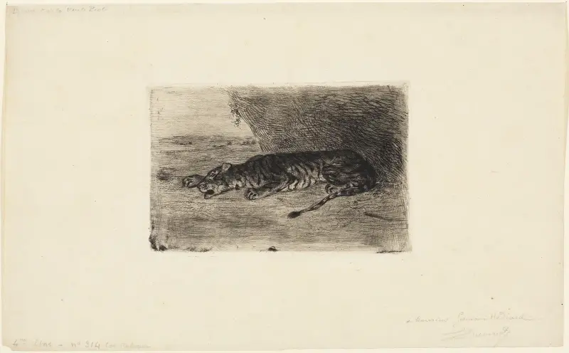 Liegender Tiger am Eingang seiner Höhle av Eugène Delacroix