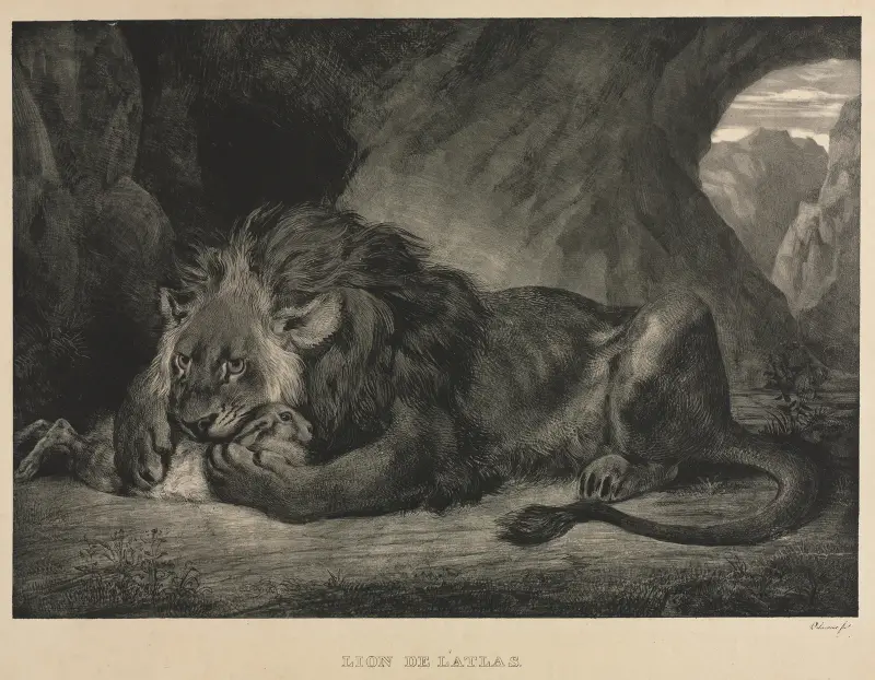 Lion of the Atlas Mountains av Eugène Delacroix