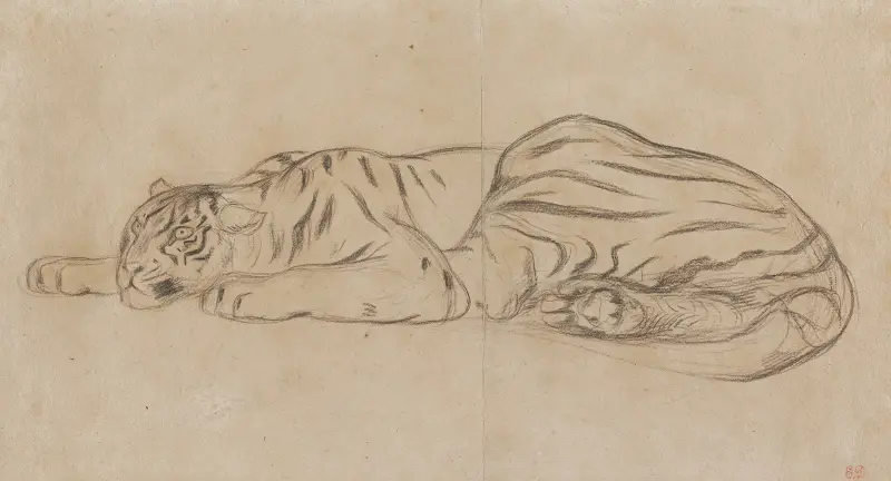 Královský tygr, 1829 – Nr. 1, Eugène Delacroix