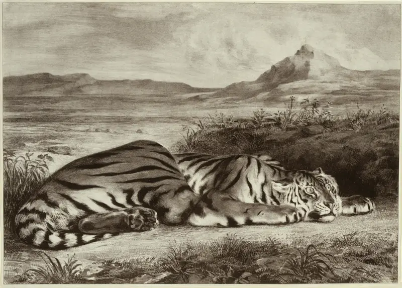 Königstiger, 1829 – Nr. 2 von Eugène Delacroix