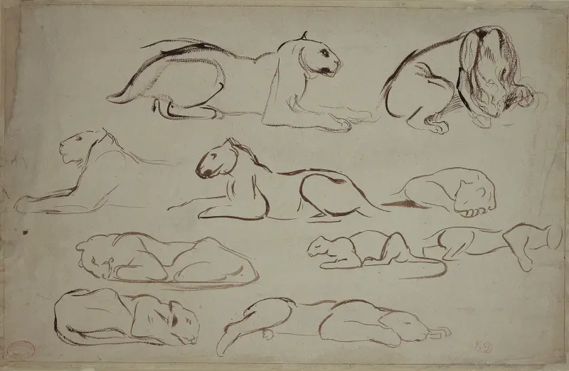 Studienblatt mit Löwen und Tigern av Eugène Delacroix
