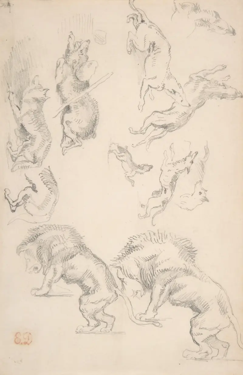 Studies of Animals av Eugène Delacroix