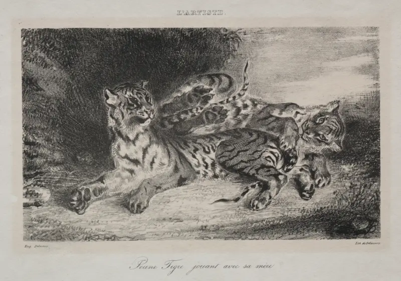Young Tiger Playing with its Mother av Eugène Delacroix