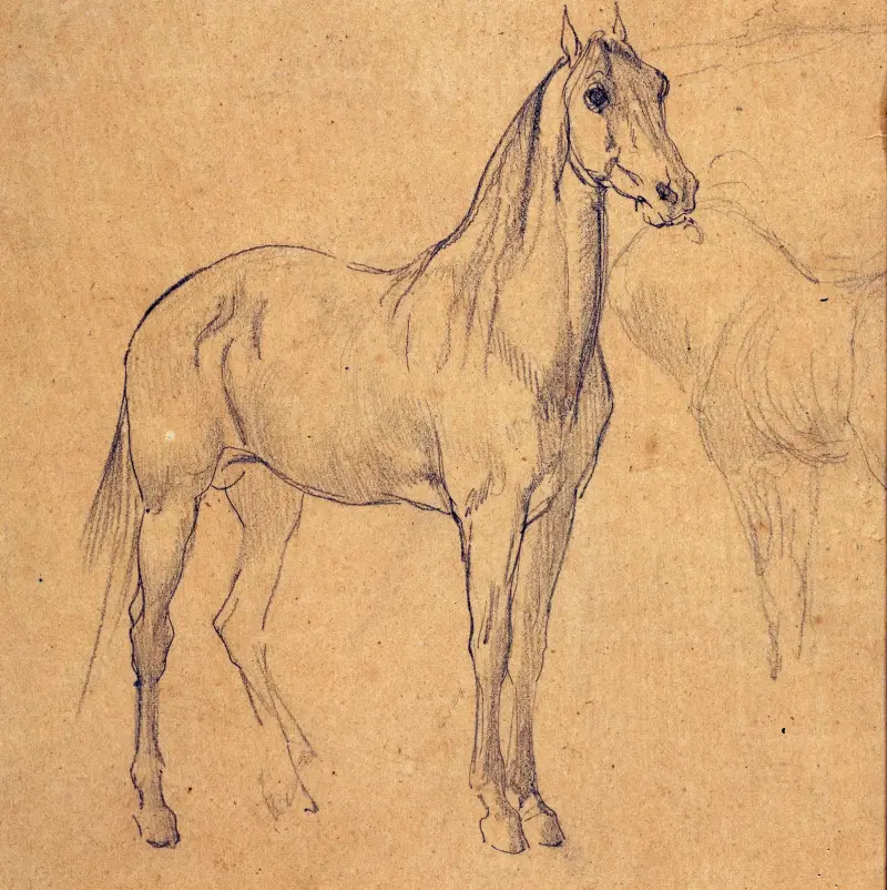 Häst (studie) av Eugène Fromentin