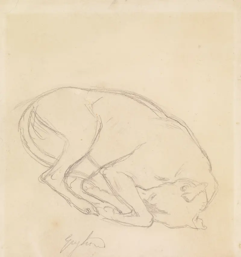 Studies of a chin, a sleeping dog, annotated ‘greyhound’ av Sir John Everett Millais