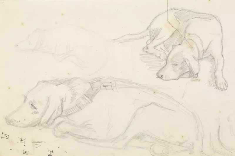 Three Studies of a Sleeping Dog av Sir John Everett Millais