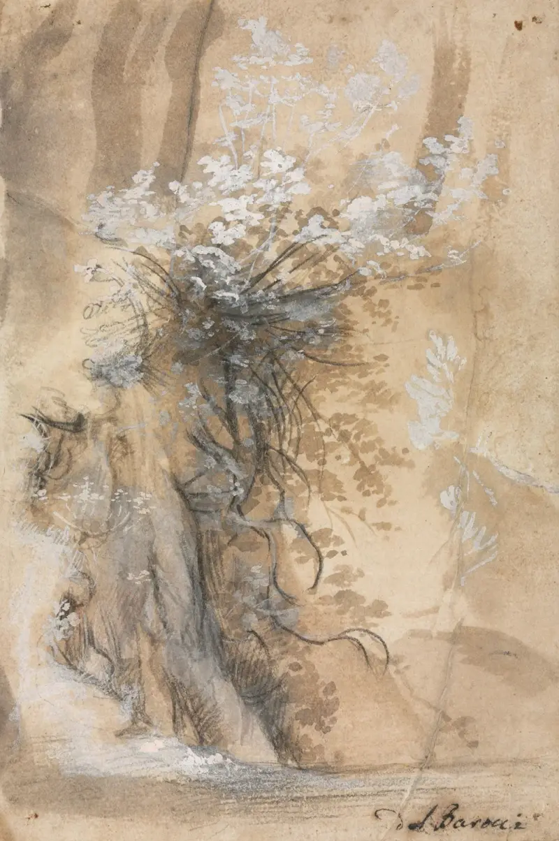 Flowering Bush above an Eroded Bank av Federico Barocci