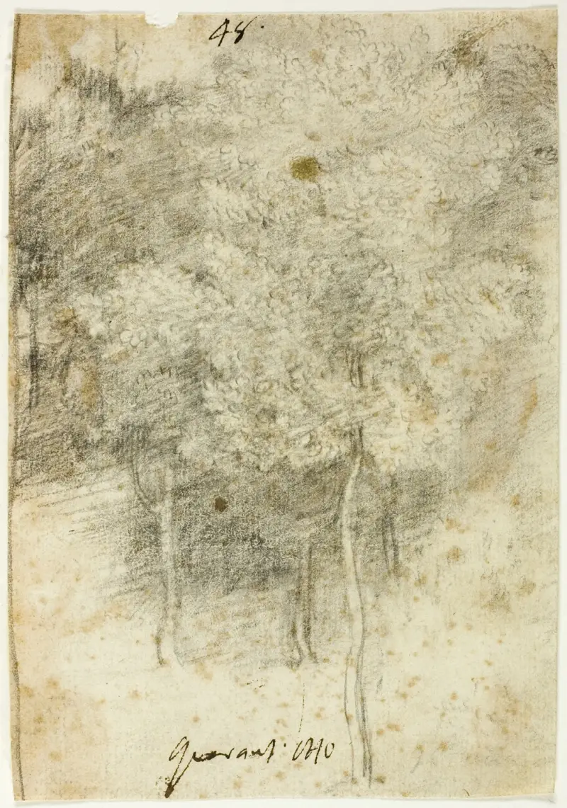 Grove of Trees av Federico Barocci