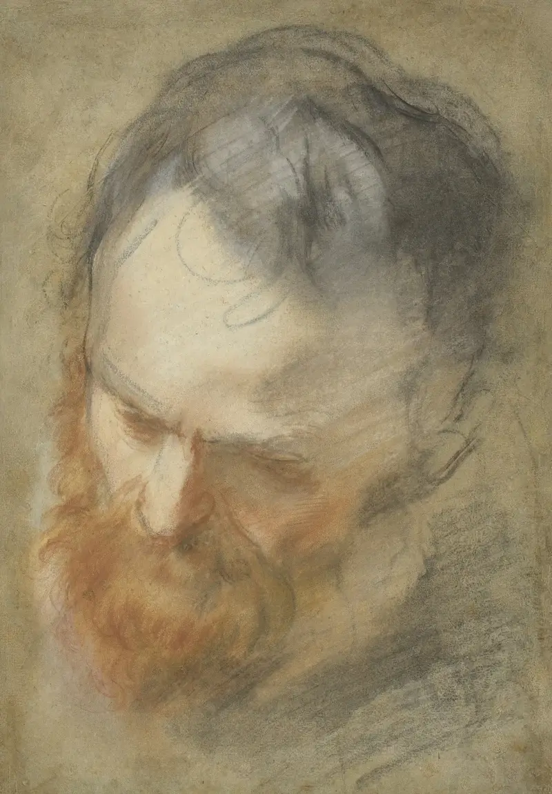 Huvud av skäggig man av Federico Barocci