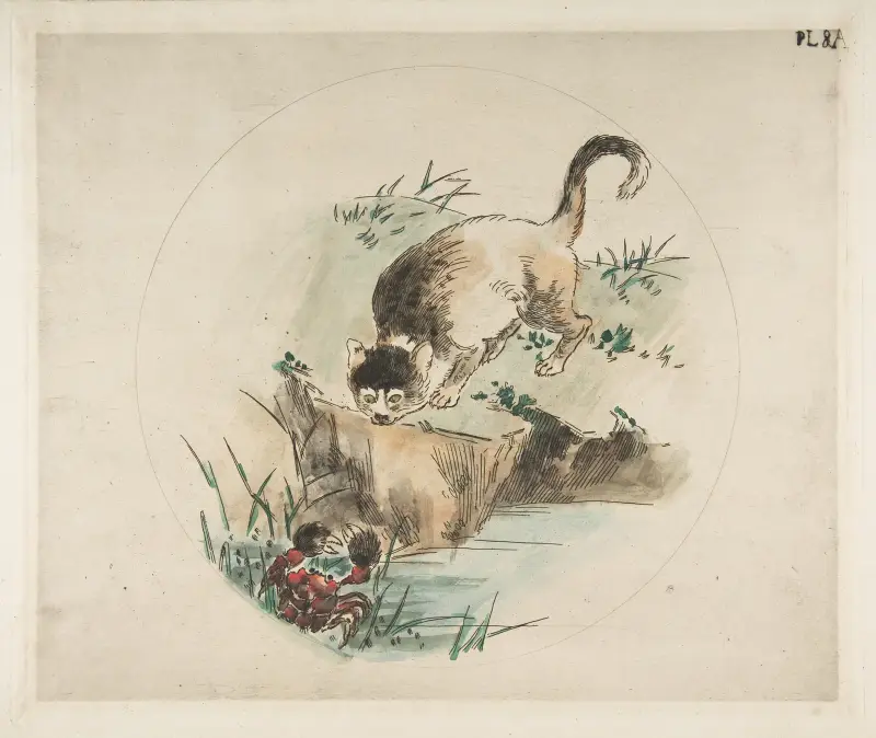 Eine Katze jagt eine Krabbe von Félix Bracquemond