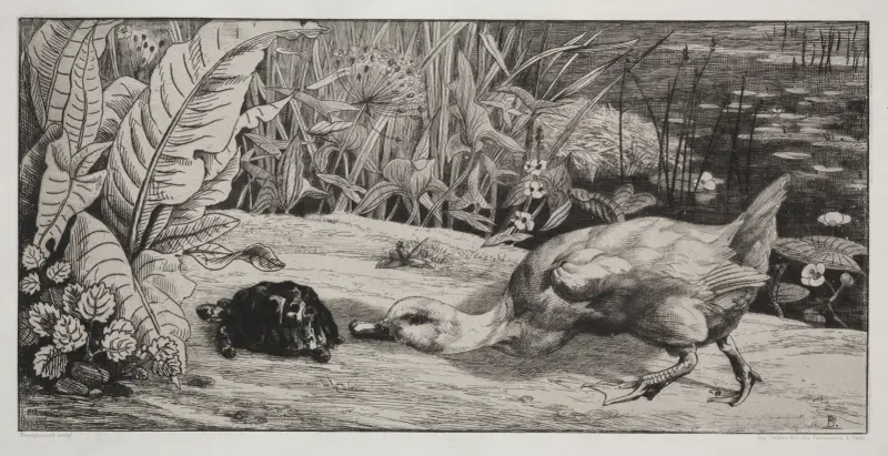 An Unknown von Félix Bracquemond