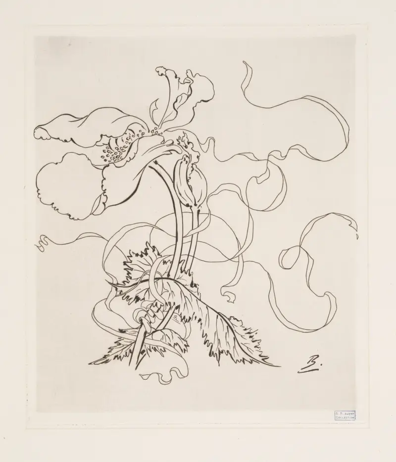 Assiette (coquelicot). av Félix Bracquemond