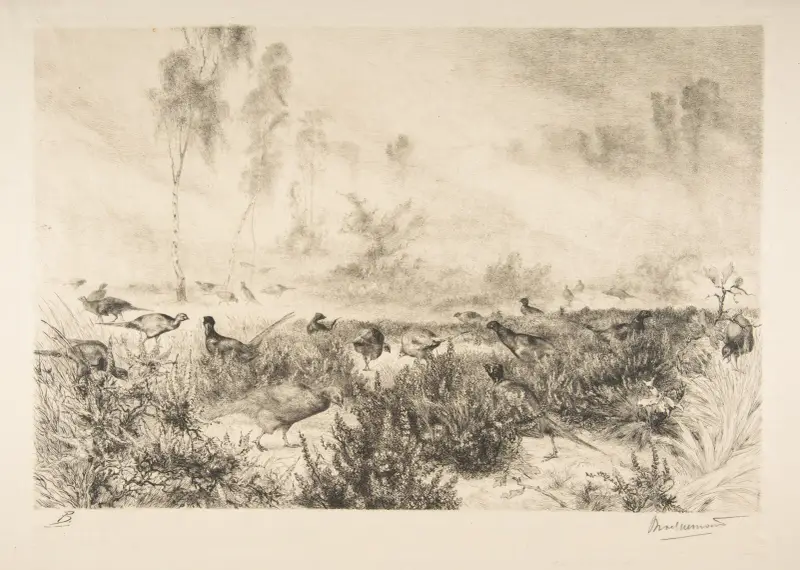 Morgondimma av Félix Bracquemond