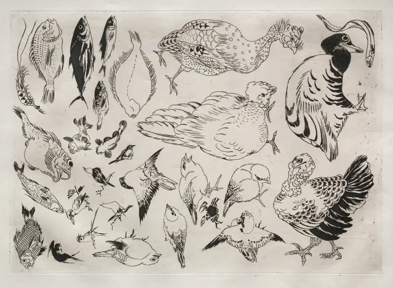 Dinner Service (Rousseau service); Ducks, fish, etc. (no. 12) av Félix Bracquemond