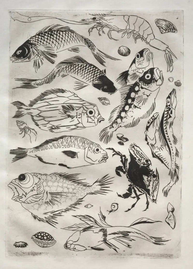 Jídelní servis (Rousseauův servis); Ryba (č. 24), Félix Bracquemond