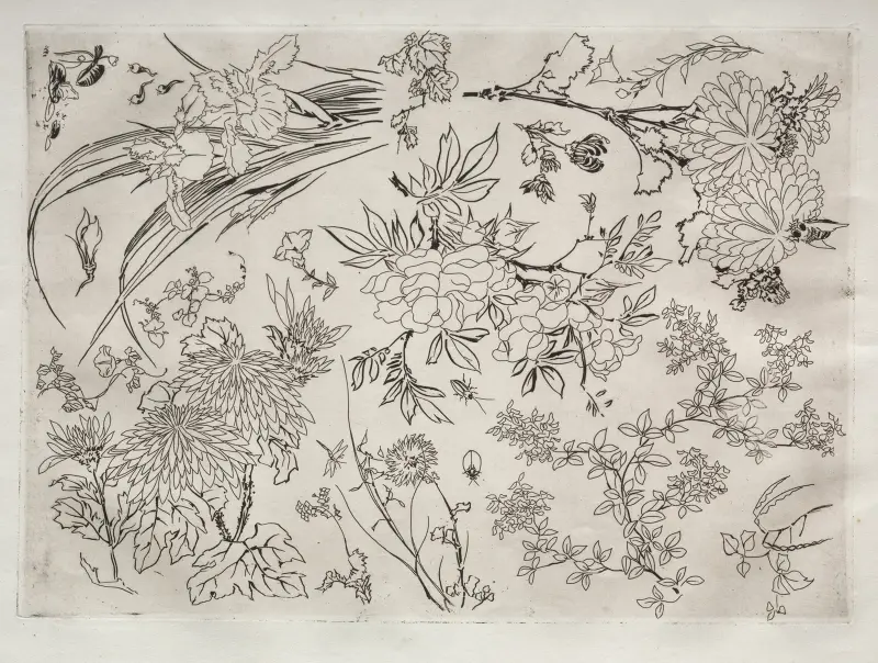 Dinner Service (Rousseau service); Flowers (no. 23), 1866 – nr 2 av Félix Bracquemond