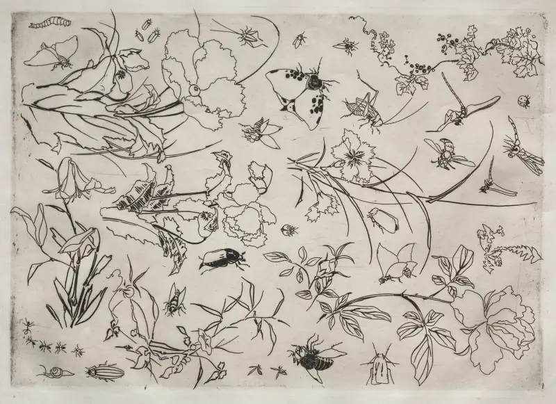 Dinner Service (Rousseau service); Flowers and Insects (no. 15) av Félix Bracquemond