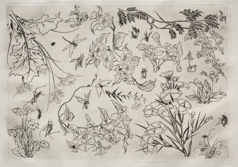 Serwis obiadowy (serwis Rousseau); Kwiaty (nr 22), 1866 – nr 1, Félix Bracquemond