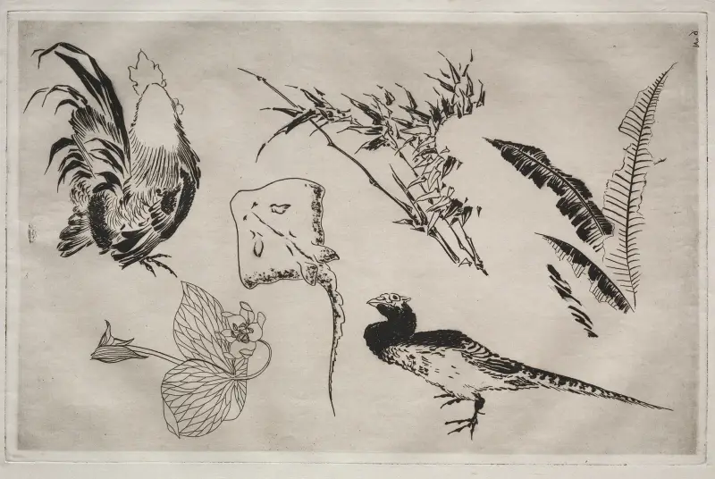 Dinner Service (Rousseau service); Roosters, skate, plants, etc. (no. 9) av Félix Bracquemond