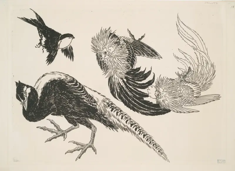 Faisans, oiseaux av Félix Bracquemond