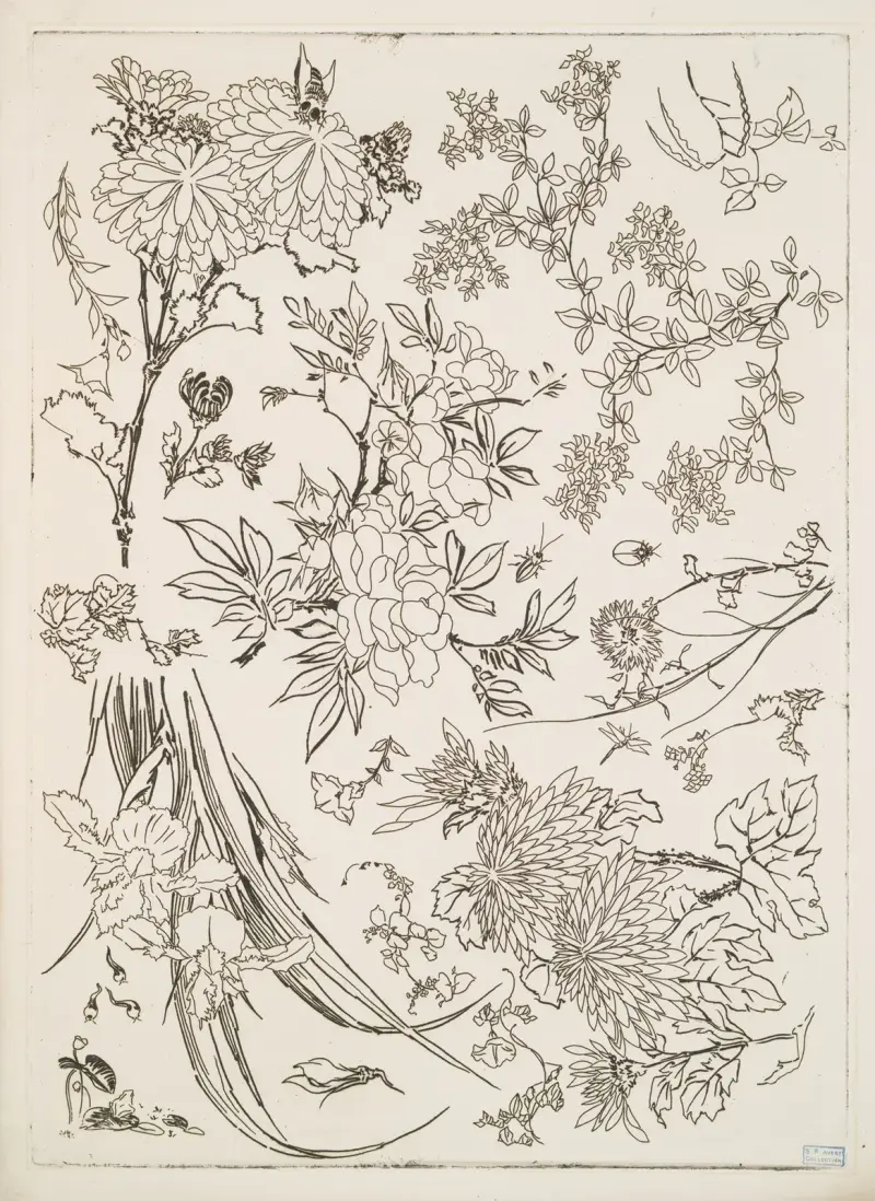 Blommor av Félix Bracquemond
