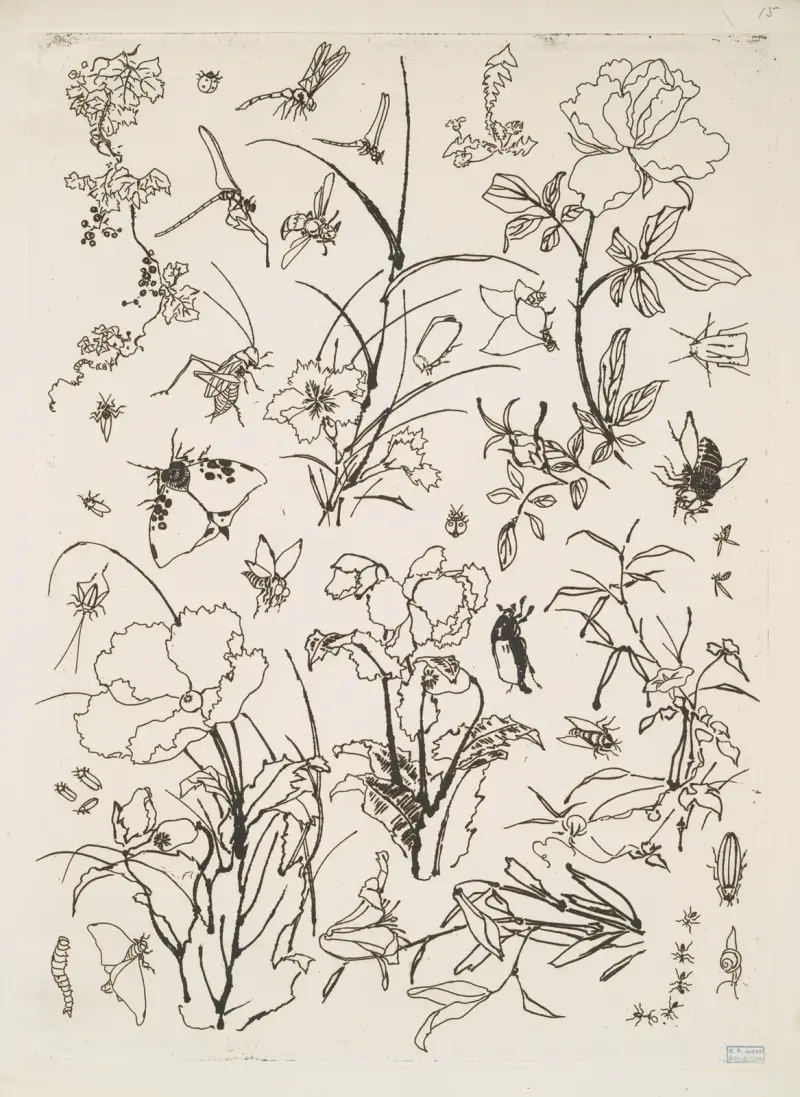 Blommor och insekter av Félix Bracquemond