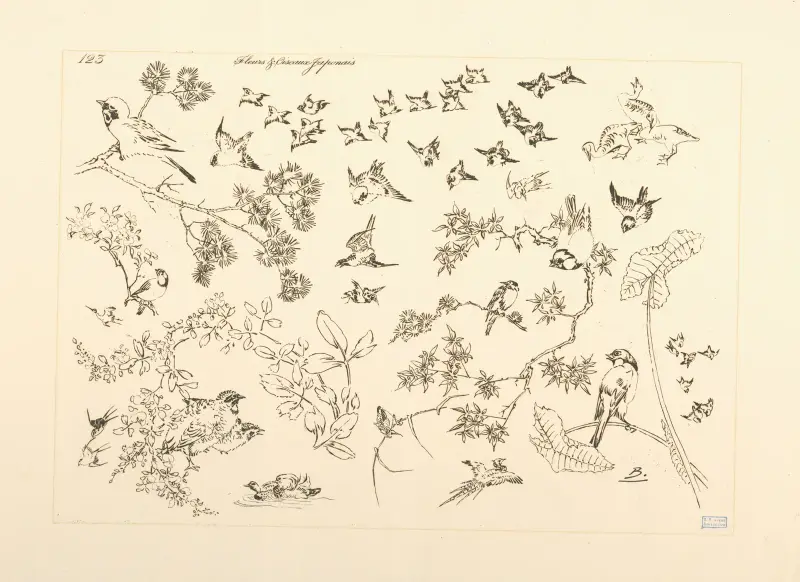 Japanska blommor och fåglar av Félix Bracquemond