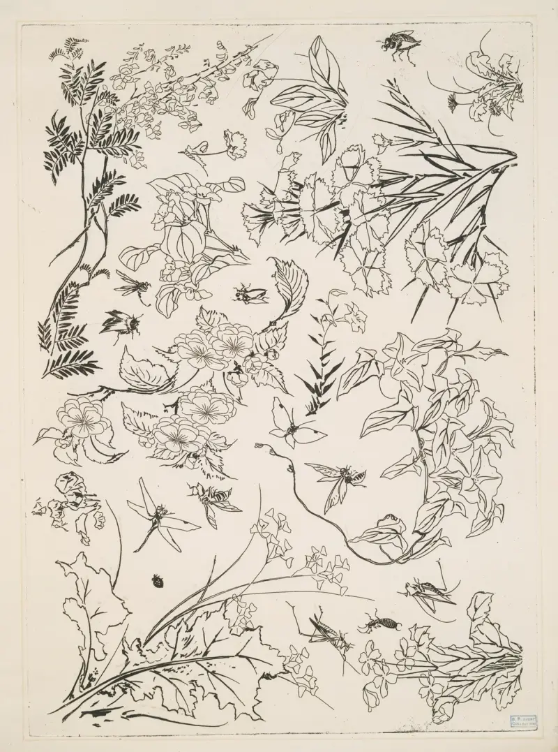 Blommor av Félix Bracquemond